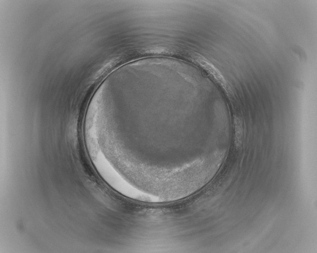 X0000116030482200912041938