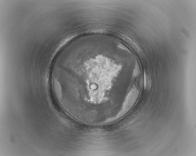 X0000116030483200912041938