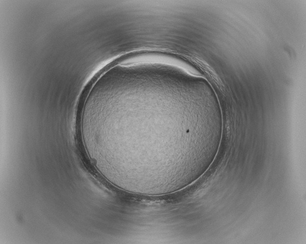 X0000116030484200912041938