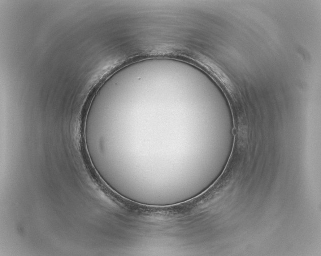 X0000116030485200912041938