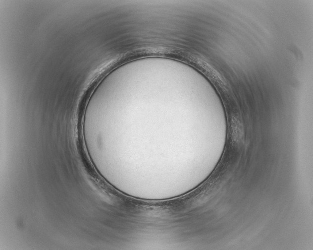 X0000116030486200912041938