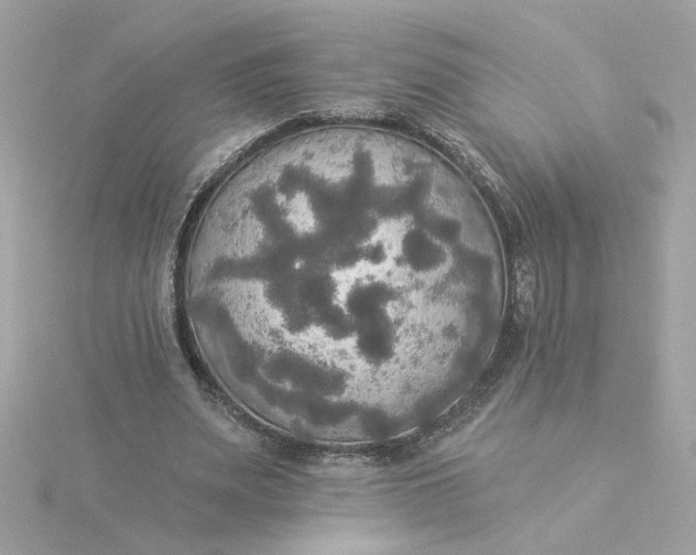 X0000116030487200912041938