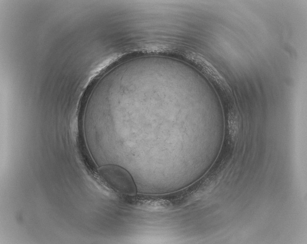 X0000116030488200912041938