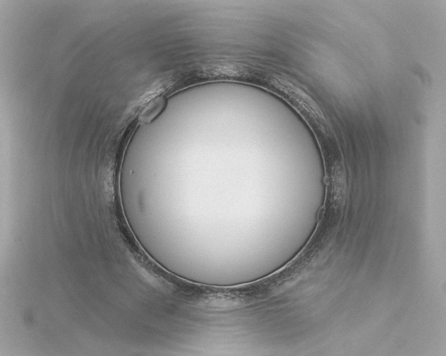 X0000116030489200912041938