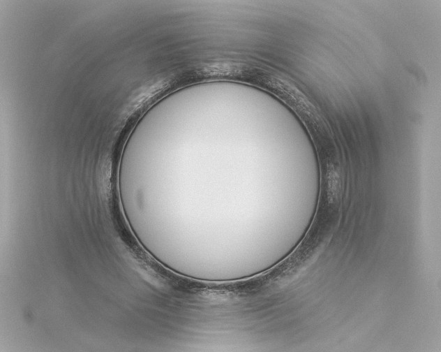 X0000116030490200912041938