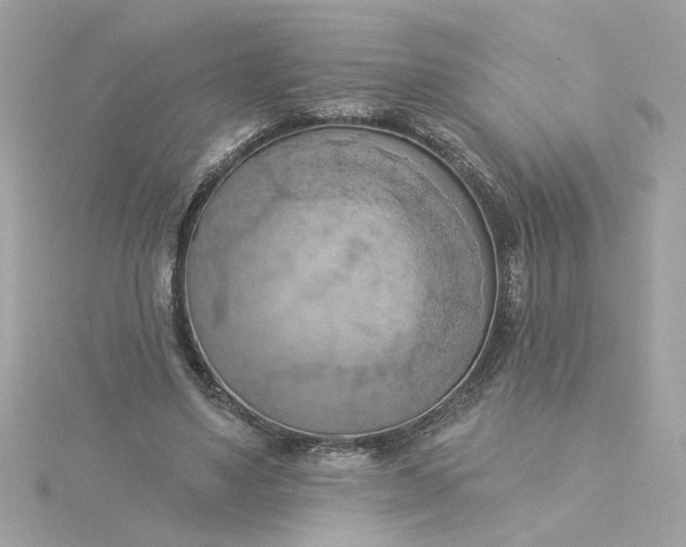 X0000116030491200912041938