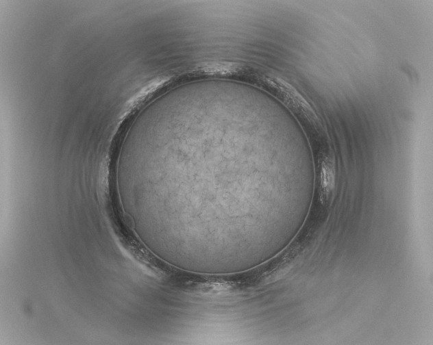 X0000116030492200912041938