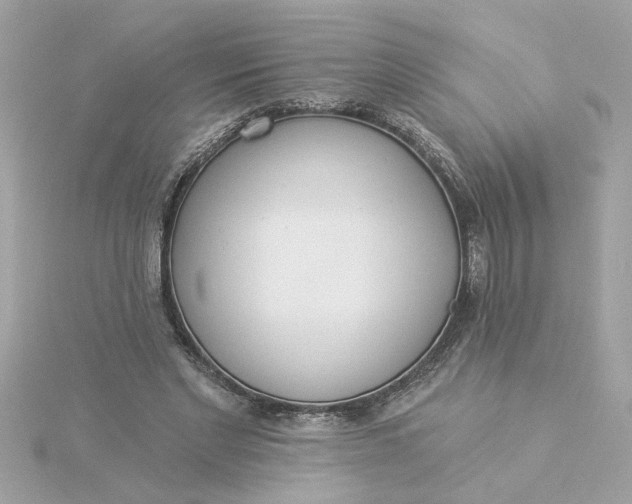 X0000116030493200912041938