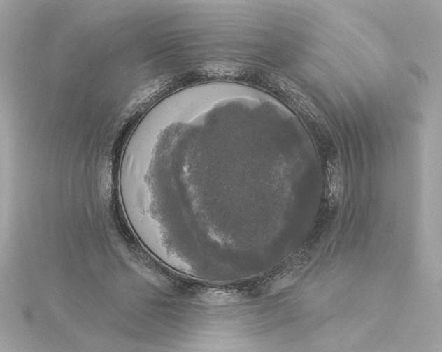 X0000116030494200912041938