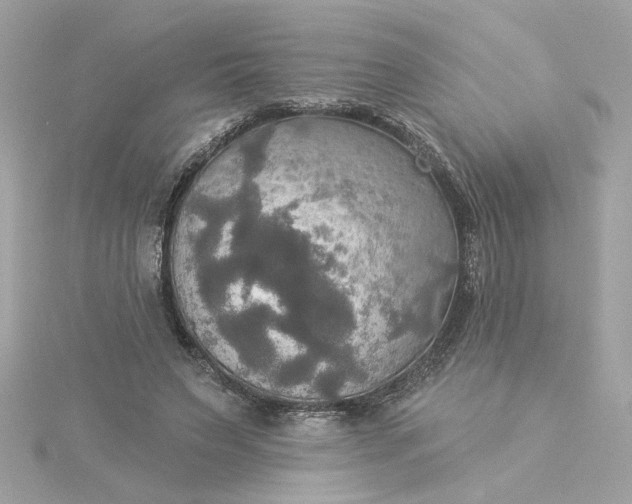 X0000116030495200912041938