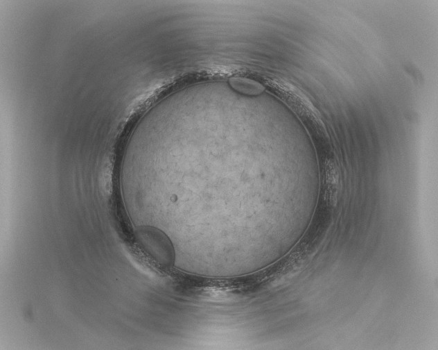 X0000116030496200912041938