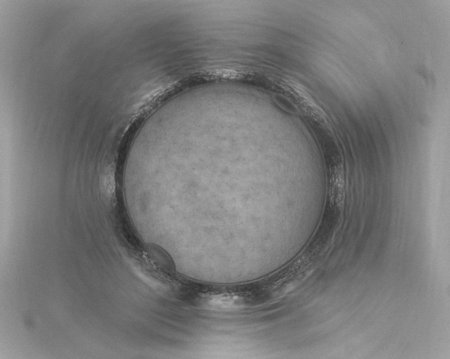 X0000116030500200912041938