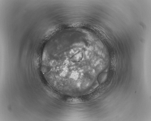 X0000116030503200912041937