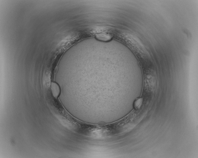 X0000116030504200912041937