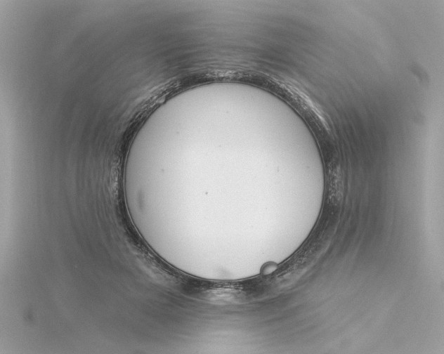 X0000116030505200912041937