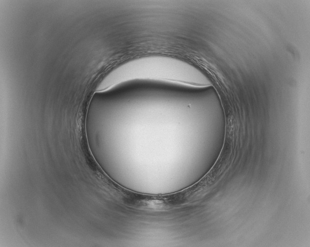 X0000116030509200912041937