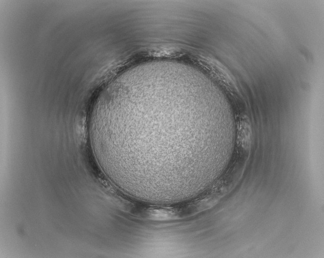 X0000116030510200912041937