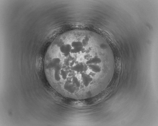 X0000116030511200912041937