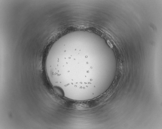 X0000116030512200912041937