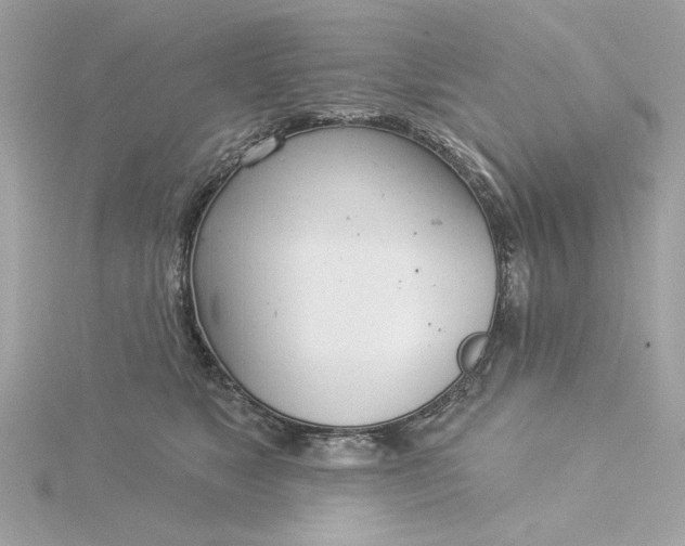 X0000116030517200912041937