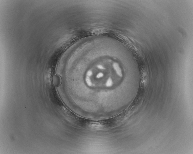 X0000116030519200912041937