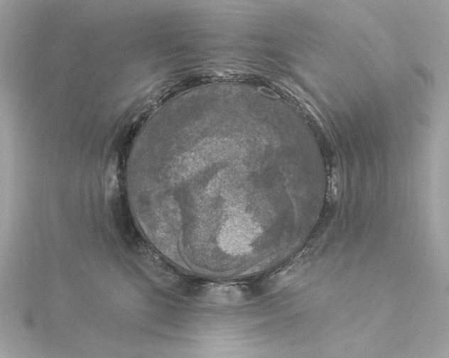 X0000116030520200912041937