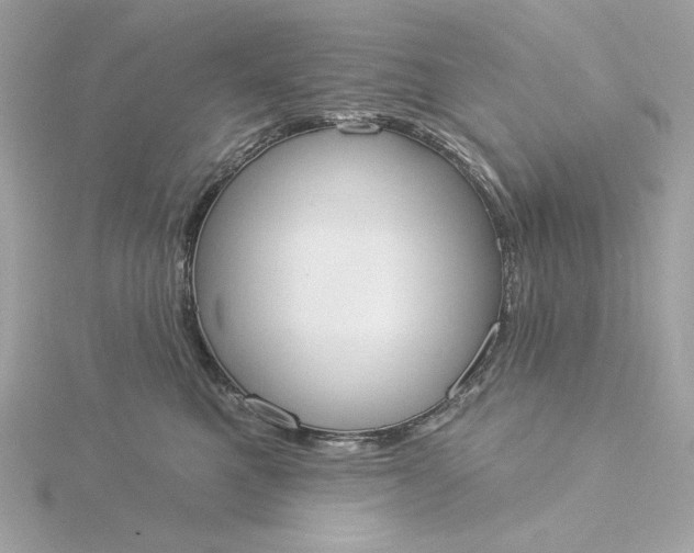 X0000116030521200912041937