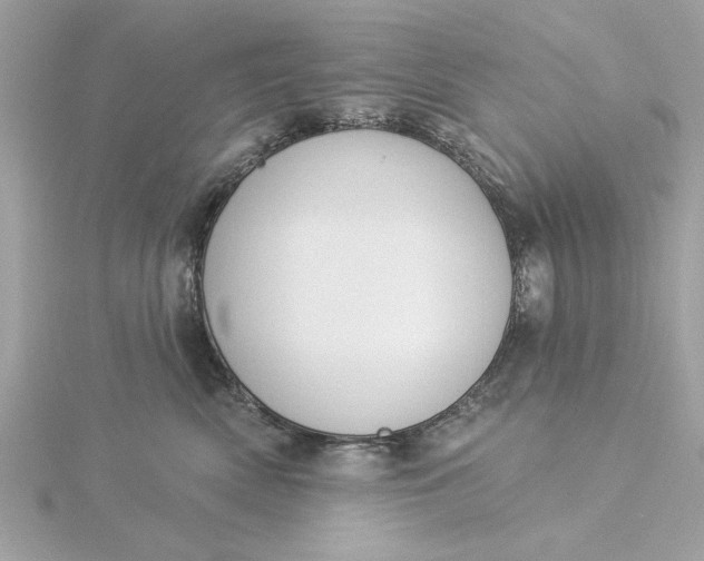 X0000116030522200912041937