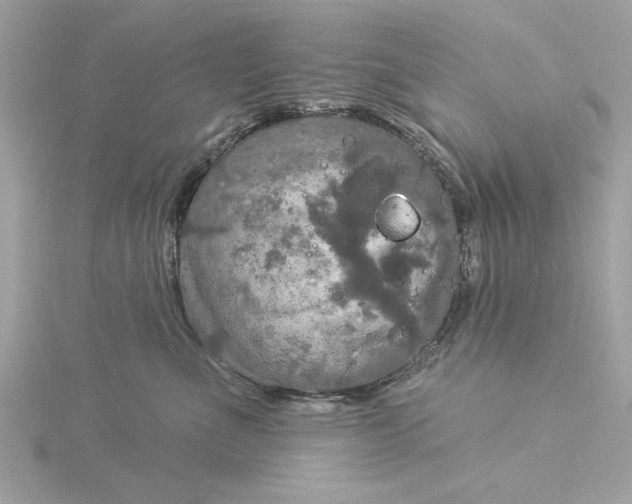 X0000116030523200912041937