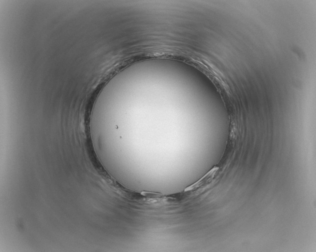 X0000116030524200912041937