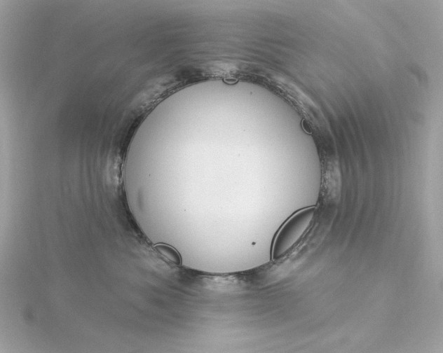 X0000116030525200912041937