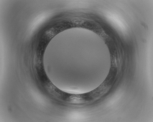 X0000116030526200912041937