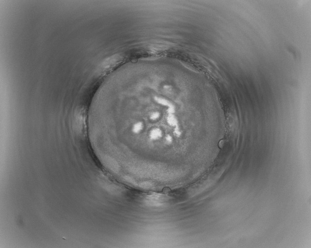 X0000116030527200912041937