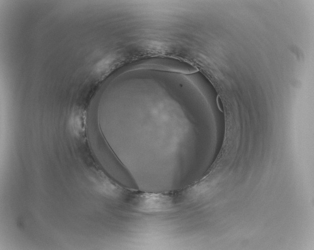 X0000116030528200912041937