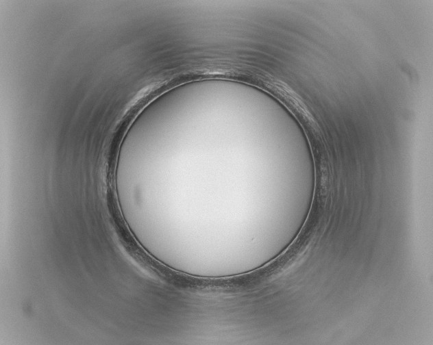 X0000116030530200912041937