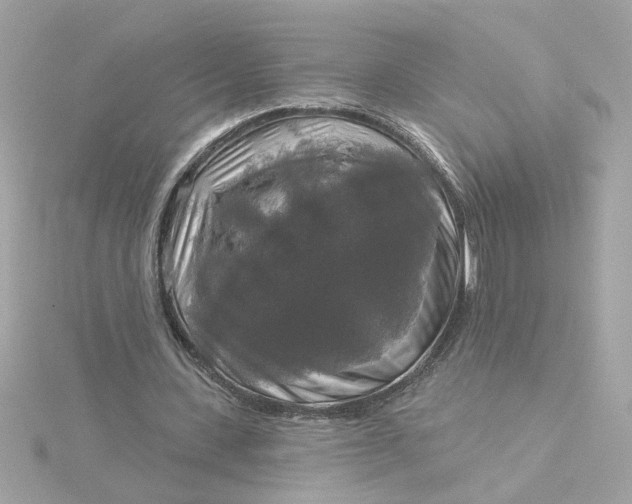 X0000116030531200912041937