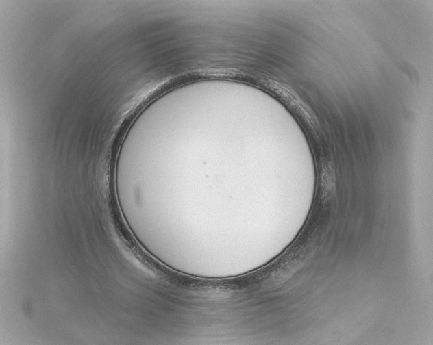 X0000116030533200912041937