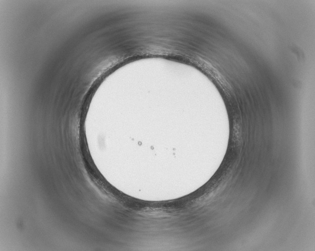 X0000116030534200912041937