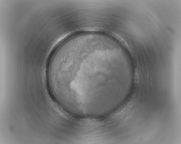 X0000116030535200912041937