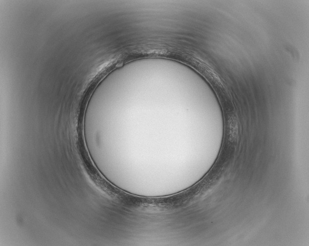 X0000116030538200912041937