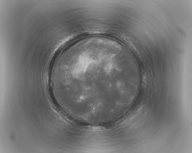 X0000116030539200912041937