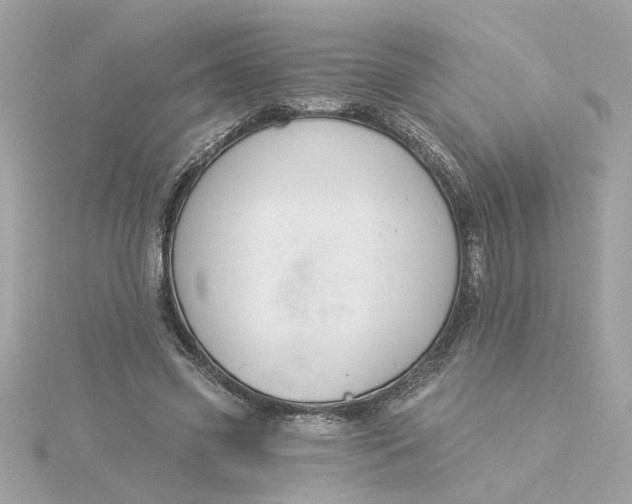 X0000116030541200912041937