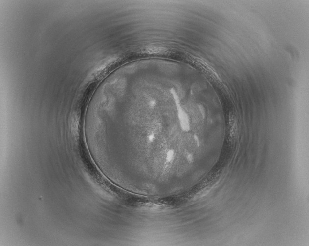 X0000116030542200912041937