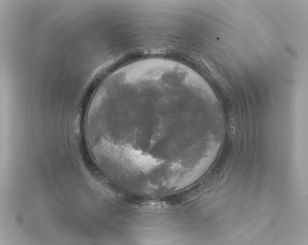 X0000116030543200912041937