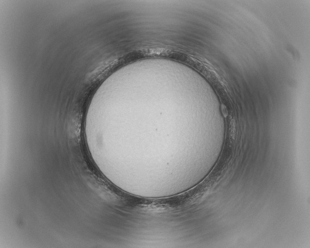 X0000116030545200912041937