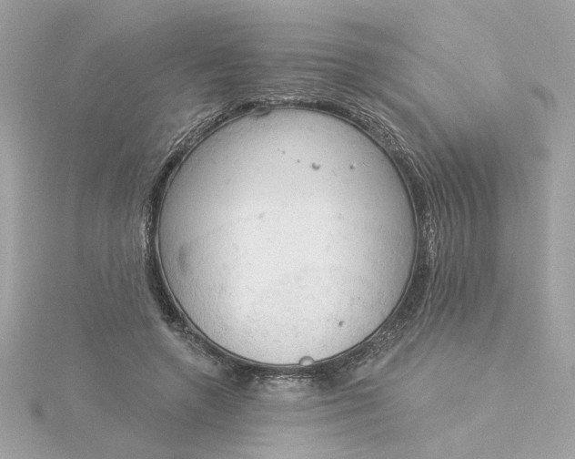 X0000116030546200912041937