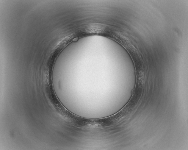 X0000116030547200912041937