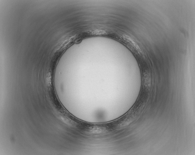 X0000116030549200912041937