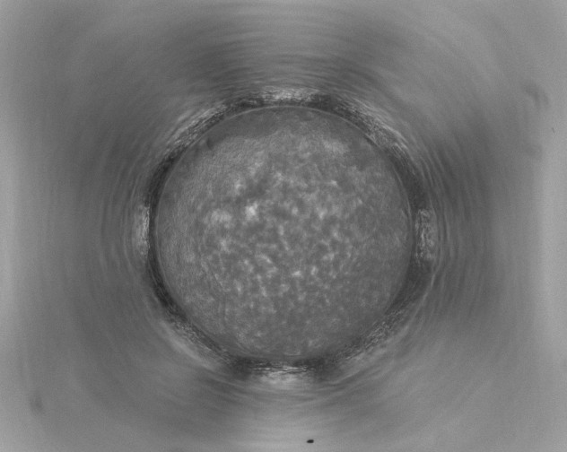 X0000116030550200912041937