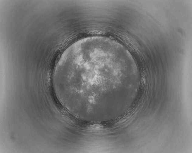 X0000116030551200912041937